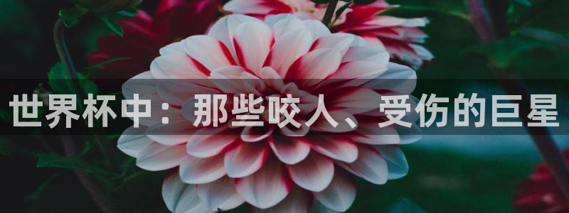 2026年足球世界杯赛程时间表：世界杯中：那些咬人、受伤的巨星