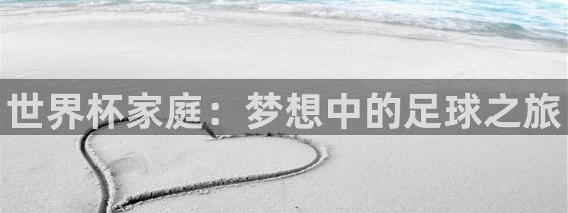 世界杯决赛直播：世界杯家庭：梦想中的足球之旅