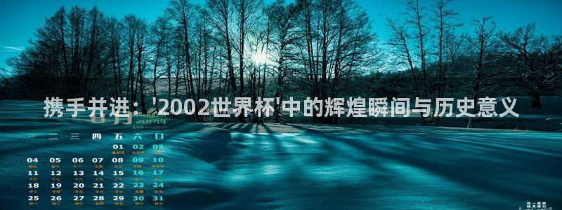 2026男足世界杯赛程：携手并进：\'2002世界杯\'中的辉煌瞬间与历史意义