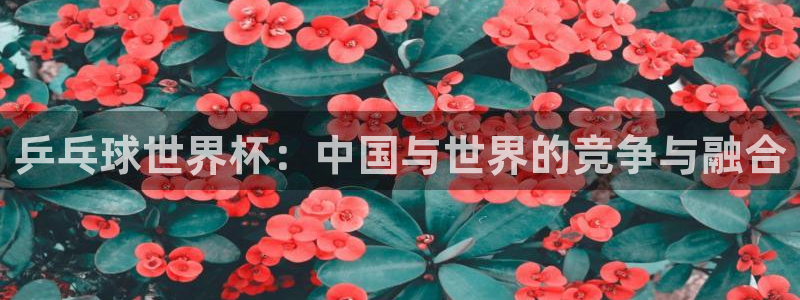 世界杯转播表：乒乓球世界杯：中国与世界的竞争与融合