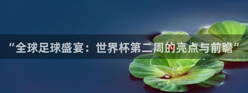 2026世预赛赛程表：“全球足球盛宴：世界杯第二周的亮点与前瞻”