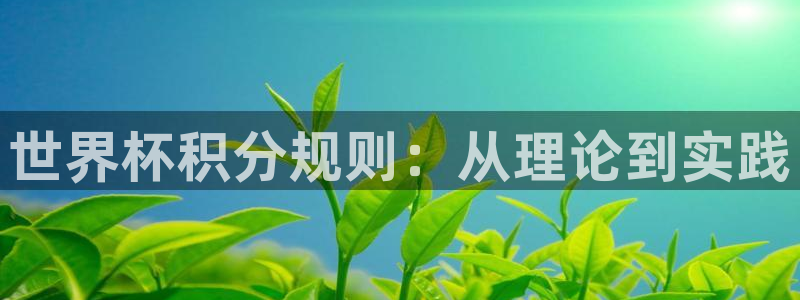 世界杯预选赛2026：世界杯积分规则：从理论到实践