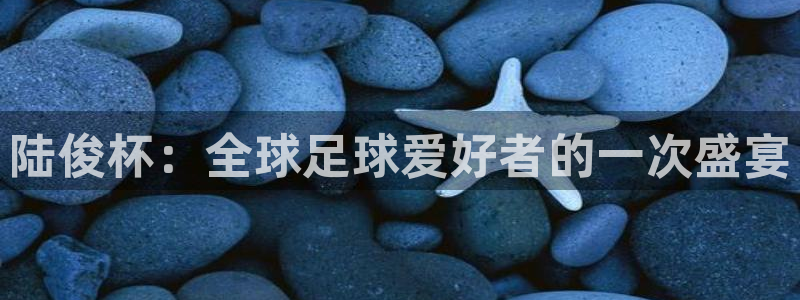 世界直播：陆俊杯：全球足球爱好者的一次盛宴