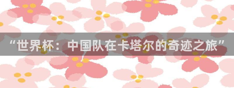 世界杯视频：“世界杯：中国队在卡塔尔的奇迹之旅”