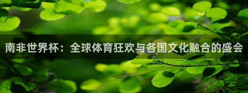 中国 世界杯：南非世界杯：全球体育狂欢与各国文化融合的盛会