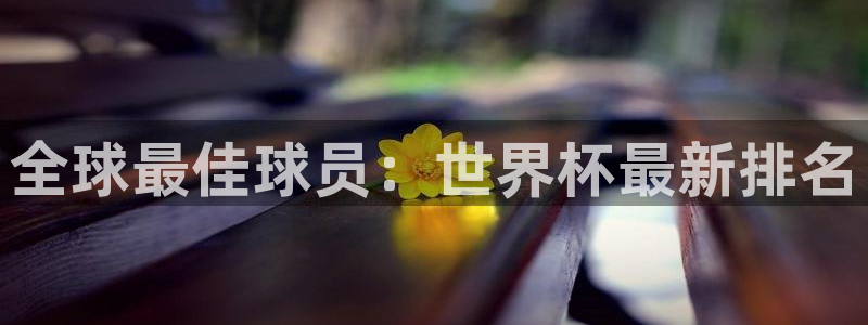 足球比分直播世界杯：全球最佳球员：世界杯最新排名